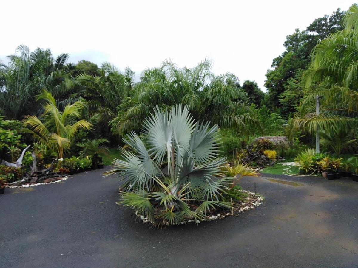 Krasom Homestay Phang Nga Exterior photo